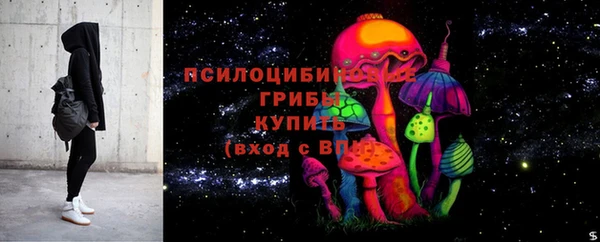 гидропоника Зеленодольск