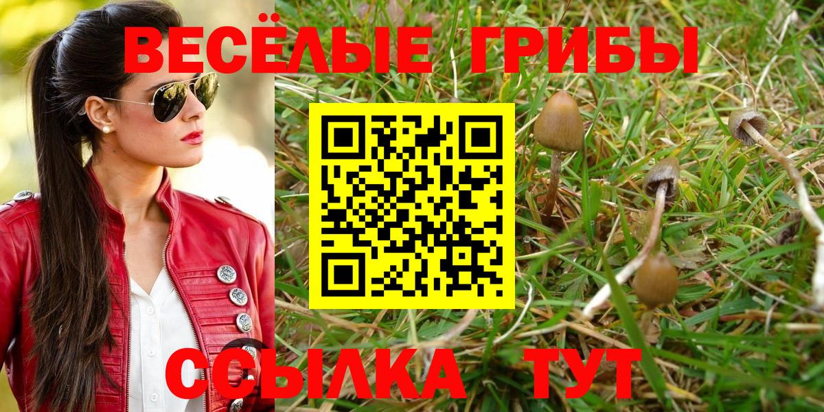 Псилоцибиновые грибы MAGIC MUSHROOMS Еманжелинск