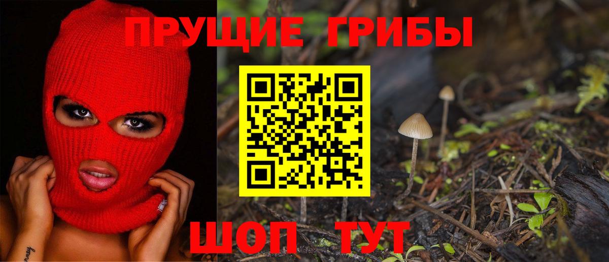 Псилоцибиновые грибы Cubensis  Галлюциногенные грибы прущие грибы  Еманжелинск  Вход с VPN 
