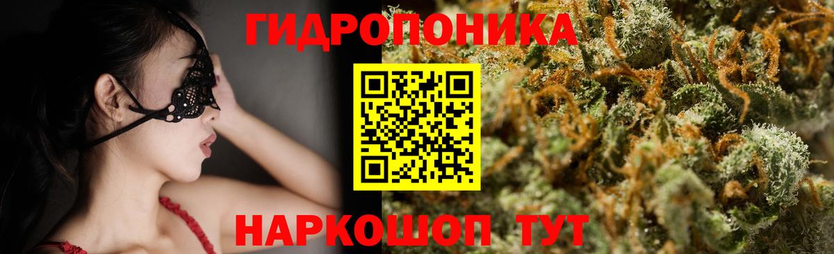 Конопля план Еманжелинск